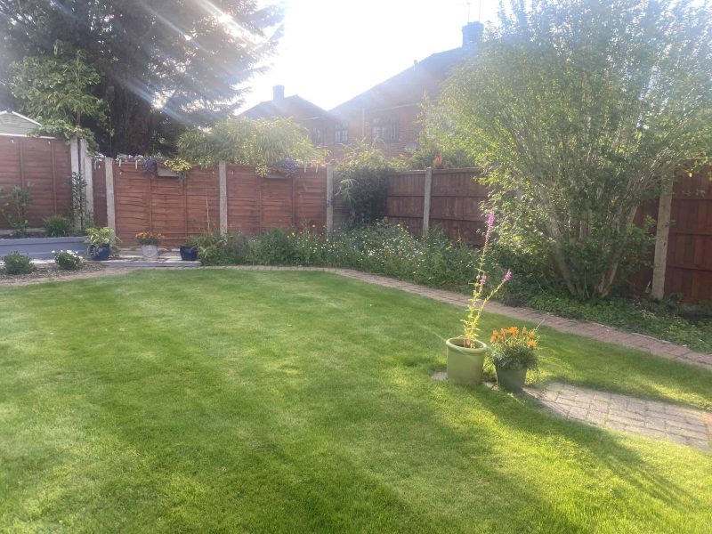 Image #4 from Colin Normoyle