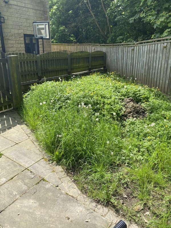 Image #4 from Sarah Glenn