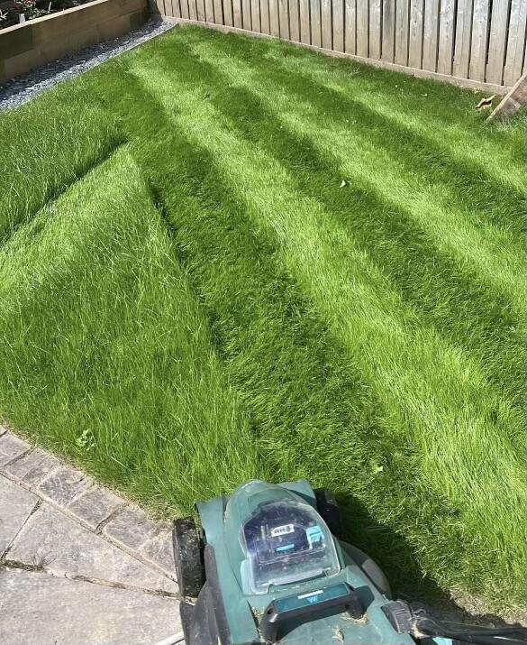 Image #3 from Sarah Glenn