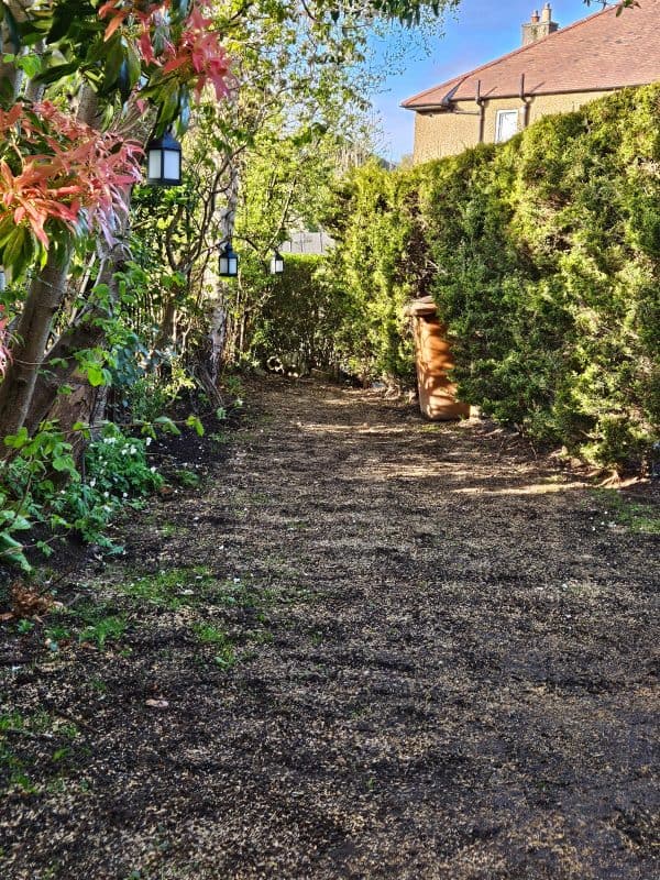 Image #1 from Louise F