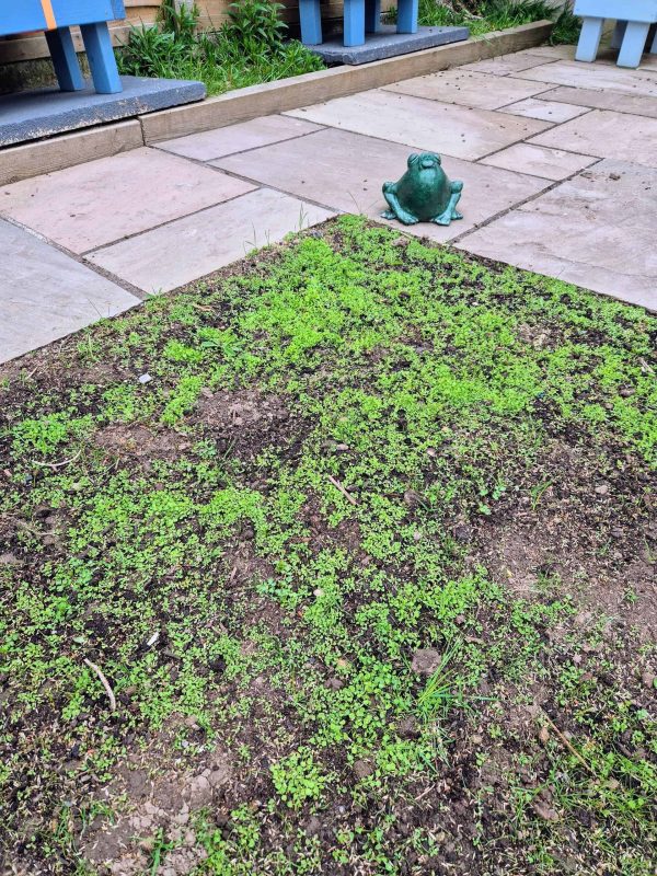 Image #2 from AMANDA BULUT