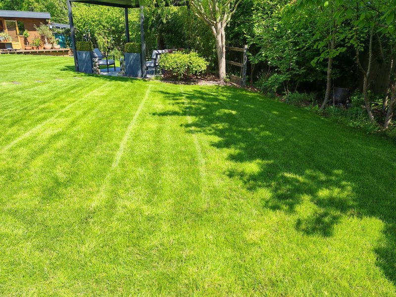 Image #1 from Alex Coltman