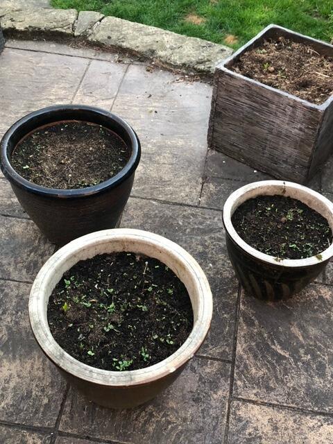 Image #2 from Craig Murray