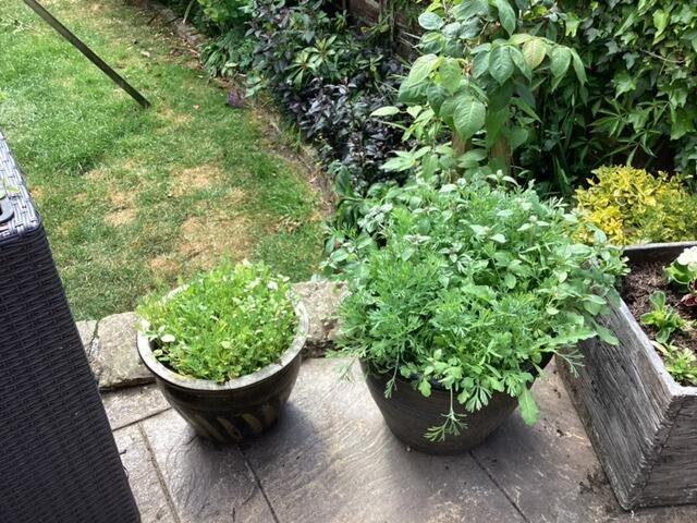 Image #1 from Craig Murray