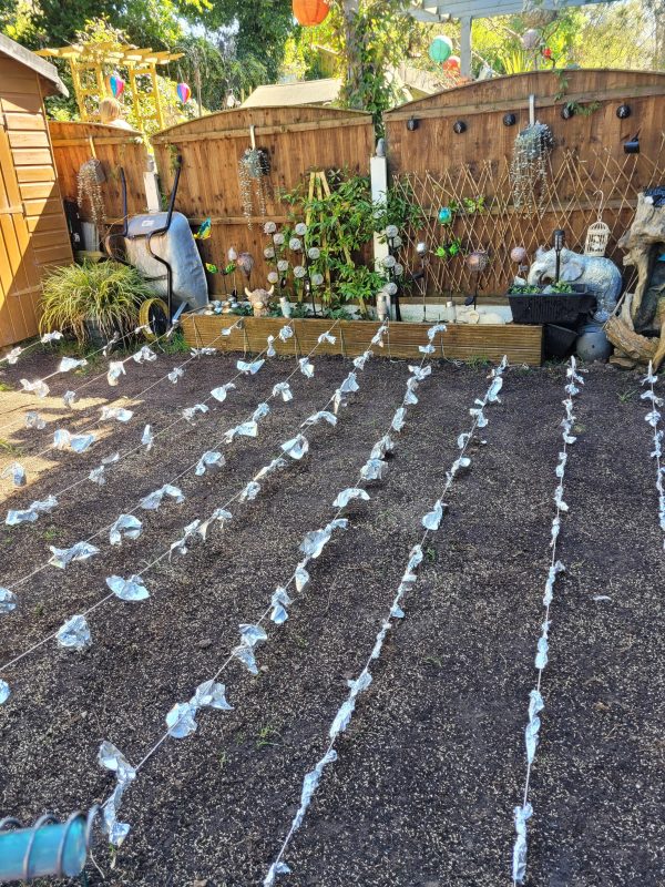 Image #1 from A Paterson-Wright