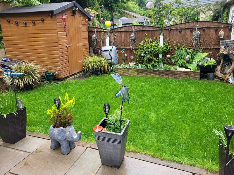 Image #2 from A Paterson-Wright