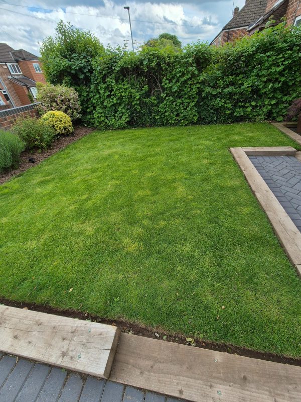 Image #3 from Tim Abell