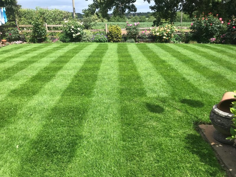 Image #2 from JOHN SIMPSON