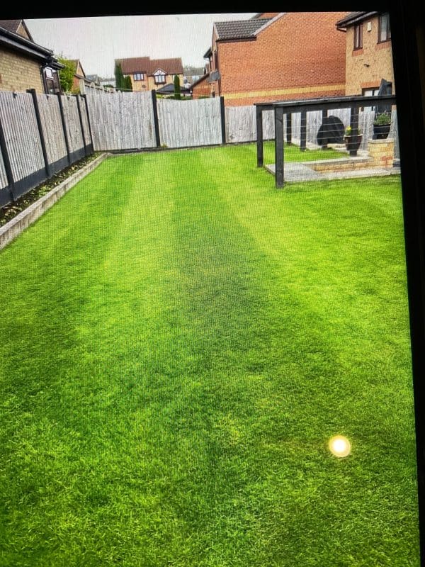 Image #1 from Ken Lowe