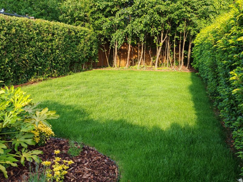 Image #3 from Alex Coltman