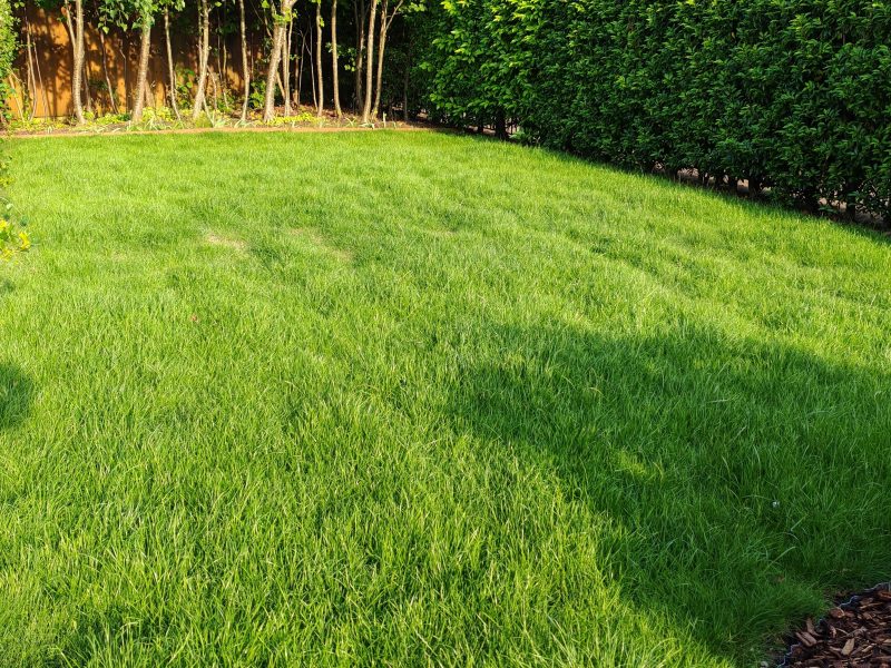 Image #1 from Alex Coltman