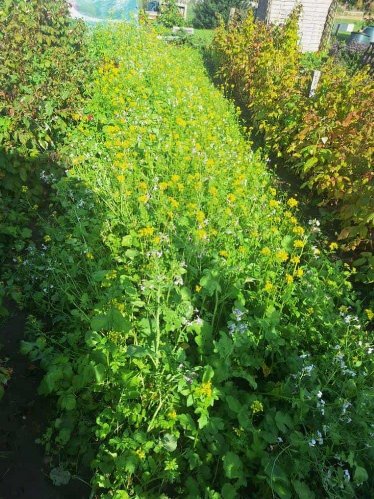 Image #2 from David John