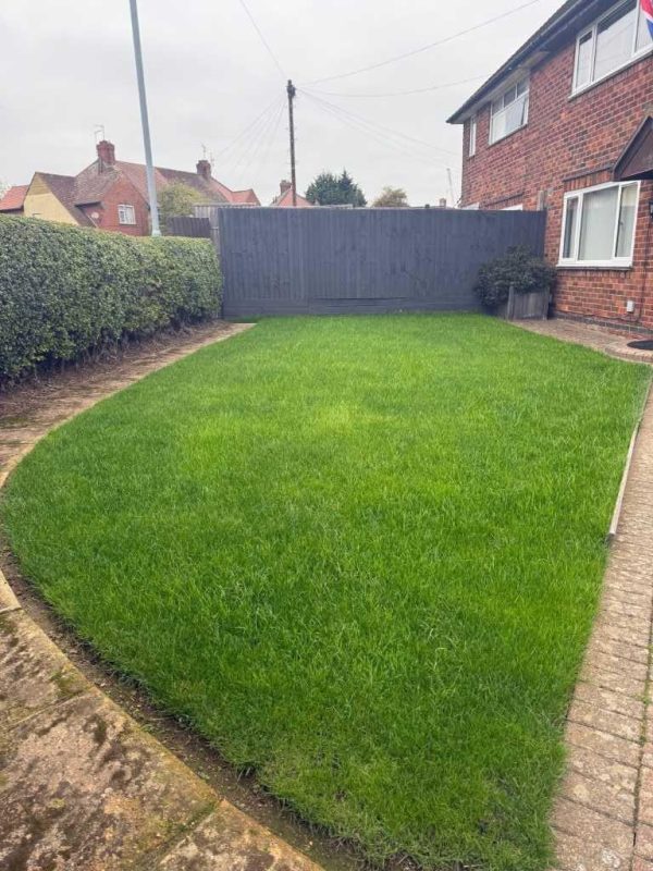 Image #1 from Alan Hall