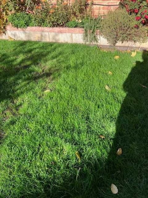 Image #2 from Linda Drury