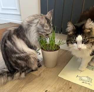 Image #1 from Kevin Anderson