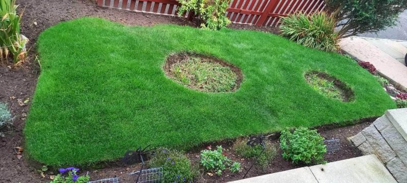 Image #4 from Max Pirrie.