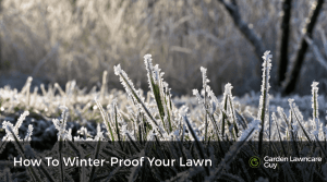 How to winter-proof your lawn before the frost arrives