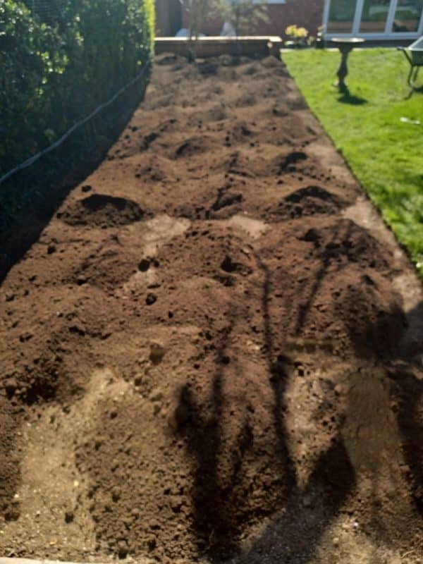 Image #1 from Ian Benson