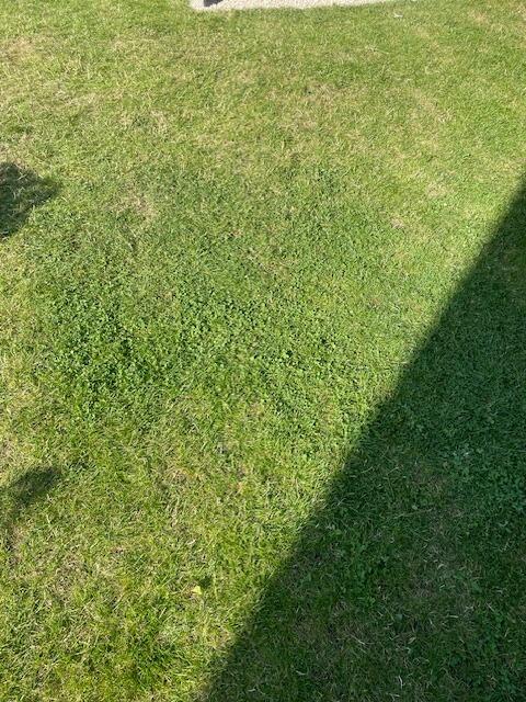 Image #2 from Kirsty Bedford