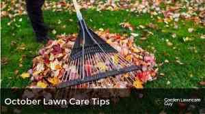 October lawn care tips