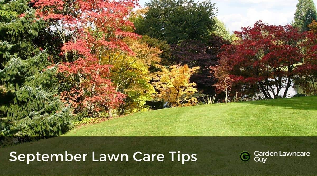 September lawn care tips