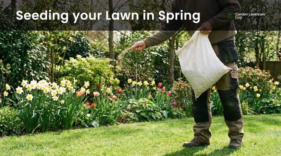 when plant grass seed spring in the UK seedbed preparation