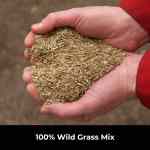 seed-wildmix (3) Low fertility wild grass seed for wildflower establishment