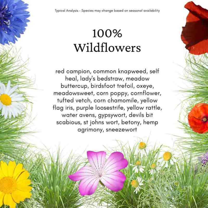 Pollinator friendly wildflower mix for damp UK gardens