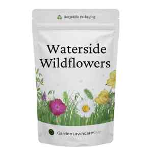 Waterside wildflower seed mix for pond edges and damp soil