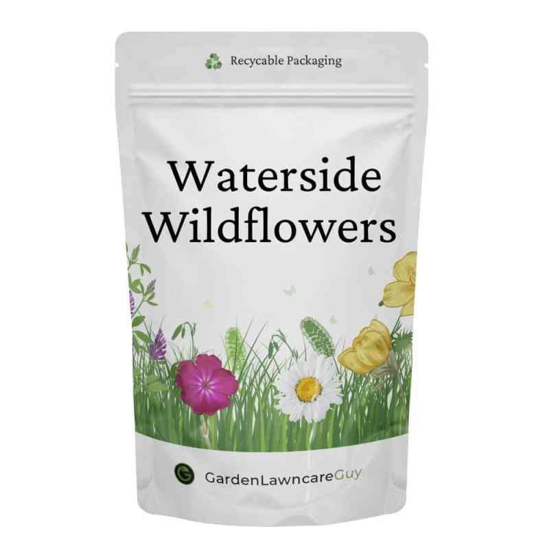 Waterside wildflower seed mix for pond edges and damp soil